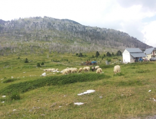 Izlet u Crnogorsko pleme 